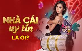 vòng đấu world cup